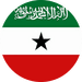 rsz_somaliland_flag